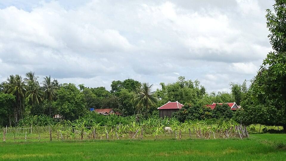 Insel Koh Trong
