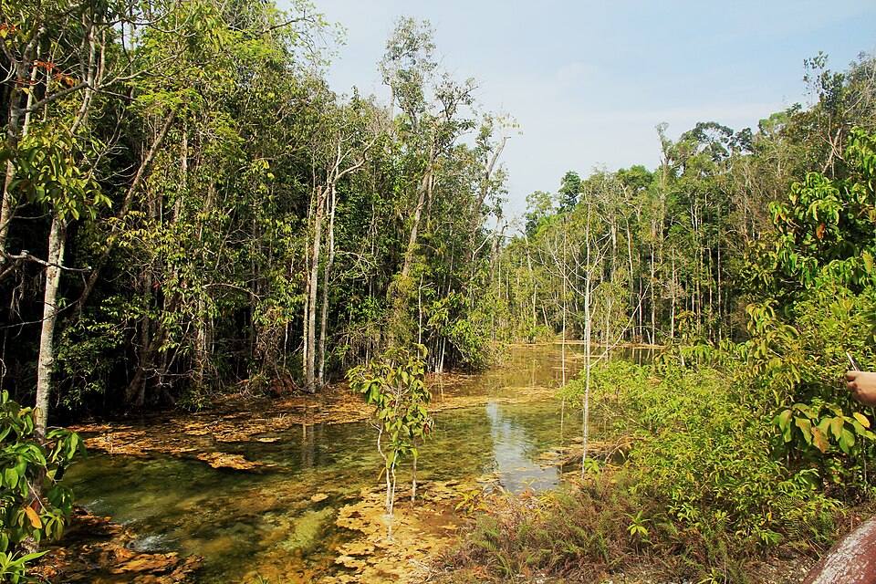 Emerald Pool (Sa Morakot)
