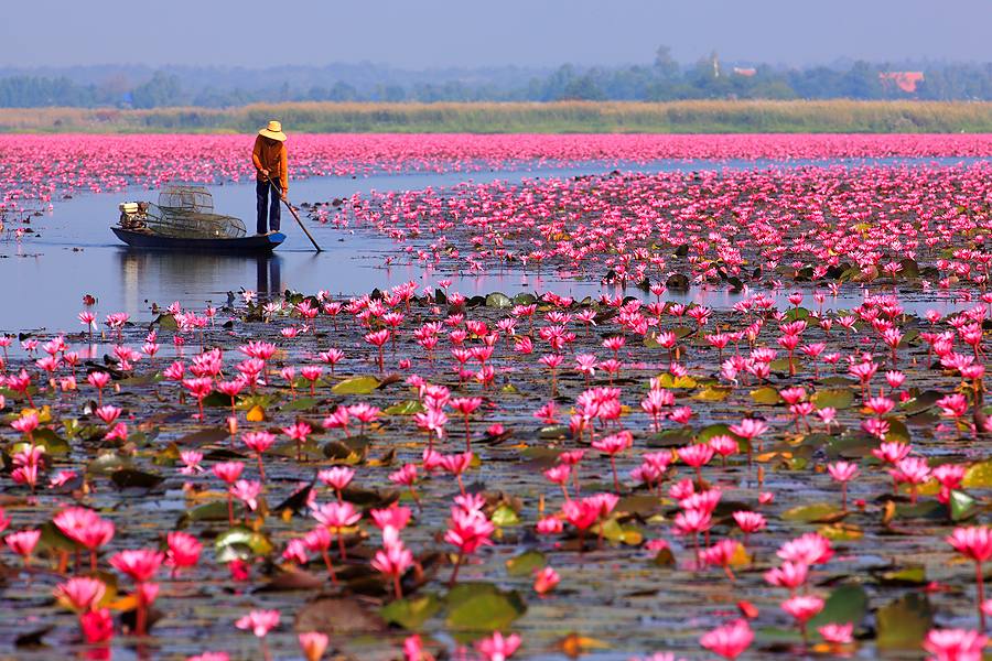 Roter Lotussee (Talay Bua Daeng)