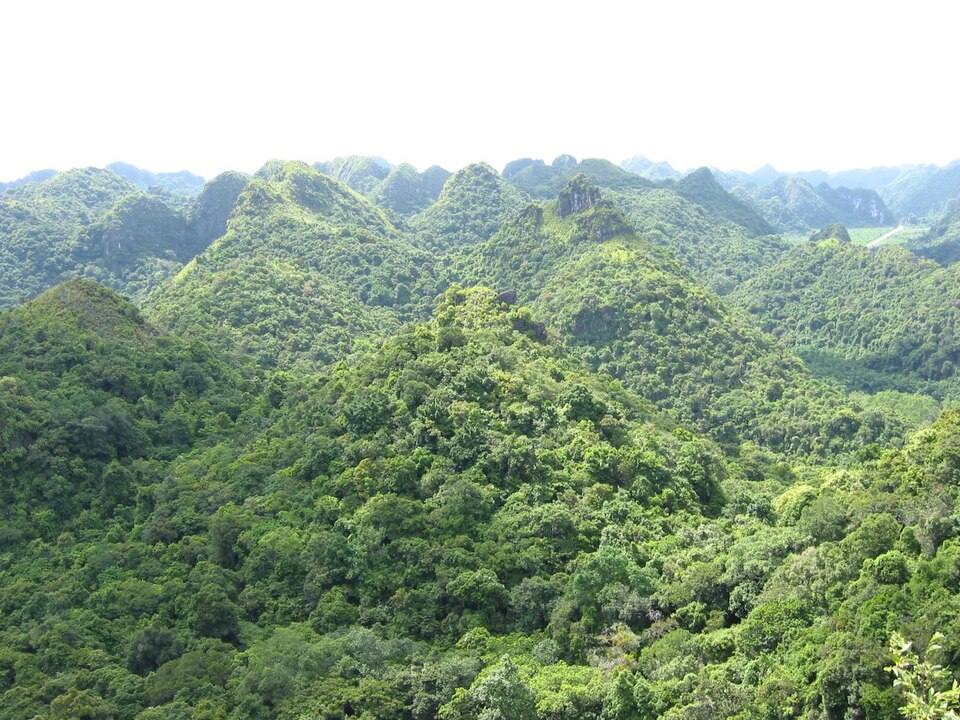 Cat-Ba-Nationalpark